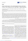 Research paper thumbnail of Urban transformation in the Central Medjerda Valley (north-west Tunisia) in late antiquity and the middle ages: a regional approach