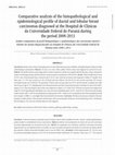 Research paper thumbnail of Comparative analysis of the histopathological and epidemiological profile of ductal and lobular breast carcinomas diagnosed at the Hospital de Clínicas da Universidade Federal do Paraná during the period 2008-2013