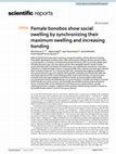 Research paper thumbnail of Female bonobos show social swelling by synchronizing their maximum swelling and increasing bonding