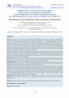 Research paper thumbnail of Hybrid application of decision trees, fuzzy logic and production rules for supporting investment decision making (on the example of an oil and gas producing company)