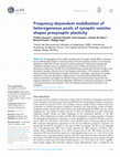 Research paper thumbnail of A frequency-dependent mobilization of heterogeneous pools of synaptic vesicles shapes presynaptic plasticity