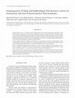 Research paper thumbnail of {"__content__"=>"Immunogenicity of OmpA and OmpB antigens from on mononuclear cells from positive Mexican patients.", "i"=>[{"__content__"=>"Rickettsia rickettsii"}, {"__content__"=>"Rickettsia"}]}