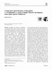 Research paper thumbnail of Comparative phytochemistry of flavaglines (= rocaglamides), a group of highly bioactive flavolignans from Aglaia species (Meliaceae)