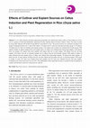 Research paper thumbnail of Effects of Cultivar and Explant Sources on Callus Induction and Plant Regeneration in Rice (Oryza sativa L.)