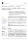 Research paper thumbnail of Plasmodium matutinum Causing Avian Malaria in Lovebirds (Agapornis roseicollis) Hosted in an Italian Zoo