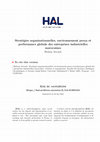 Research paper thumbnail of Stratégies organisationnelles, environnement perçu et performance globale des entreprises industrielles marocaines