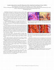 Research paper thumbnail of Paper 107: Intervertebral Disc and Articular Cartilage Degeneration in Mice Lacking Early Growth Response PROTEIN-1 (EGR-1)