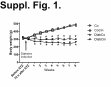 Research paper thumbnail of MOESM2 of The soluble guanylate cyclase activator cinaciguat prevents cardiac dysfunction in a rat model of type-1 diabetes mellitus