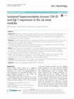 Research paper thumbnail of Sustained hyperosmolarity increses TGF-ß1 and Egr-1 expression in the rat renal medulla