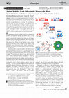 Research paper thumbnail of Anions Stabilize Each Other inside Macrocyclic Hosts