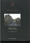 Research paper thumbnail of Casa VI 13, 16.17. 6. Il depositi di anfore e di altri contenitori. 7. Testimonianze epigrafiche. 9. Indagini stratigrafiche 2005. 3. I programmata elettorali