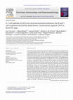 Research paper thumbnail of A T-cell epitope on NS3 non-structural protein enhances the B and T cell responses elicited by dendrimeric constructions against CSFV in domestic pigs