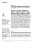 Research paper thumbnail of Large-scale population disappearances and cycling in the white-lipped peccary, a tropical forest mammal