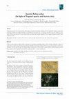 Research paper thumbnail of Sanchi: Before today (In light of Nagauri quarry and factory site)