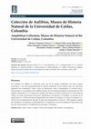 Research paper thumbnail of Amphibian Collection, Museo de Historia Natural of the Universidad de Caldas, Colombia