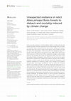 Research paper thumbnail of Unexpected resilience in relict Abies pinsapo Boiss forests to dieback and mortality induced by climate change