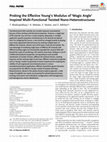 Research paper thumbnail of Probing the Effective Young's Modulus of ‘Magic Angle’ Inspired Multi‐Functional Twisted Nano‐Heterostructures