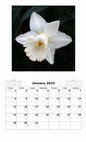 Research paper thumbnail of 2023 Flower Calendar.pdf