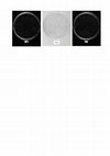 Research paper thumbnail of MOESM11 of Expression of Aspergillus niger CAZymes is determined by compositional changes in wheat straw generated by hydrothermal or ionic liquid pretreatments