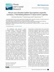 Research paper thumbnail of Illicium use in Brazilian batfish Ogcocephalus vespertilio (Linnaeus, 1758) feeding behavior in nature and in captivity