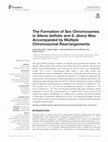 Research paper thumbnail of The Formation of Sex Chromosomes in Silene latifolia and S. dioica Was Accompanied by Multiple Chromosomal Rearrangements