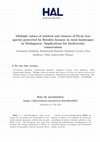 Research paper thumbnail of Multiple values of isolated and clusters of Ficus tree species protected by Betsileo farmers in rural landscapes in Madagascar: implications for biodiversity conservation