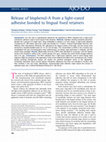 Research paper thumbnail of Release of bisphenol-A from a light-cured adhesive bonded to lingual fixed retainers