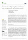 Research paper thumbnail of Iodine Bioavailability and Accumulation of Arsenic and Cadmium in Rats Fed Sugar Kelp (Saccharina latissima)