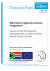 Research paper thumbnail of What drives regional economic integration? Lessons from the Maputo Development Corridor and the North-South Corridor