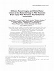 Research paper thumbnail of Diffusion tensor imaging and white matter lesions at the subacute stage in mild traumatic brain injury with persistent neurobehavioral impairment