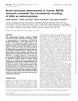 Research paper thumbnail of Novel structural determinants in human SECIS elements modulate the translational recoding of UGA as selenocysteine