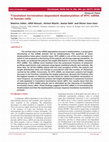 Research paper thumbnail of Translation termination-dependent deadenylation of MYC mRNA in human cells