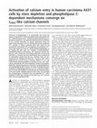 Research paper thumbnail of Activation of calcium entry in human carcinoma A431 cells by store depletion and phospholipase C- dependent mechanisms converge on I CRAC -like calcium channels