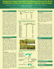 Research paper thumbnail of Bridging the cassava productivity gap between Africa and the world : Identification of elite CIAT lines adapted to Nigerian agro-ecologies