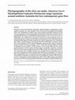 Research paper thumbnail of Phylogeography of the olive sea snake, Aipysurus laevis (Hydrophiinae) indicates Pleistocene range expansion around northern Australia but low contemporary gene flow