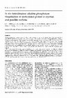 Research paper thumbnail of In situ hybridization: Alkaline phosphatase visualization of biotinylated probes in cryostat and paraffin sections