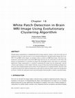 Research paper thumbnail of White Patch Detection in Brain MRI Image using Evolutionary Clustering Algorithm