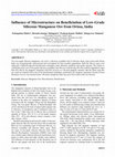 Research paper thumbnail of Influence of Microstructure on Beneficiation of Low-Grade Siliceous Manganese Ore from Orissa, India