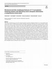 Research paper thumbnail of Mechanical and tribo-metallurgical behavior of 17-4 precipitation hardening stainless steel affected by severe cold plastic deformation: a comprehensive review article