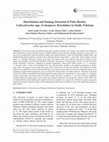 Research paper thumbnail of Distribution and damage potential of pulse beetles, Callosobruchus spp. (Coleoptera: Bruchidae) in Sindh, Pakistan