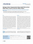 Research paper thumbnail of Macro view to the design process of Dokuz Eylül University information package within the scope of Bologna Process