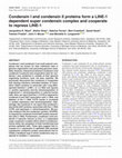 Research paper thumbnail of Condensin I and condensin II proteins form a LINE-1 dependent super condensin complex and cooperate to repress LINE-1