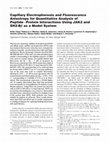 Research paper thumbnail of Capillary Electrophoresis and Fluorescence Anisotropy for Quantitative Analysis of Peptide−Protein Interactions Using JAK2 and SH2-Bβ as a Model System