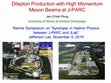 Research paper thumbnail of Drell-Yan production using high momentum pions