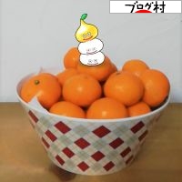 にほんブログ村 にほんブログ村へ