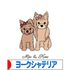 にほんブログ村 犬ブログ ヨークシャーテリアへ