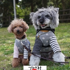 にほんブログ村 にほんブログ村へ