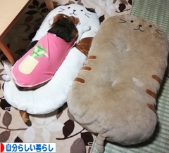 にほんブログ村 ライフスタイルブログ 自分らしい暮らしへ