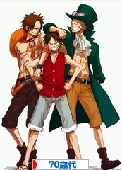 にほんブログ村 シニア日記ブログ 70歳代へ