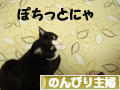 にほんブログ村 主婦日記ブログ のんびり主婦へ